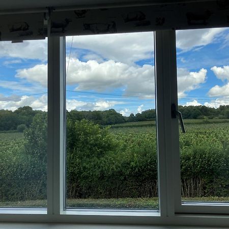Withy Farm Bed & Breakfast Canterbury Bagian luar foto