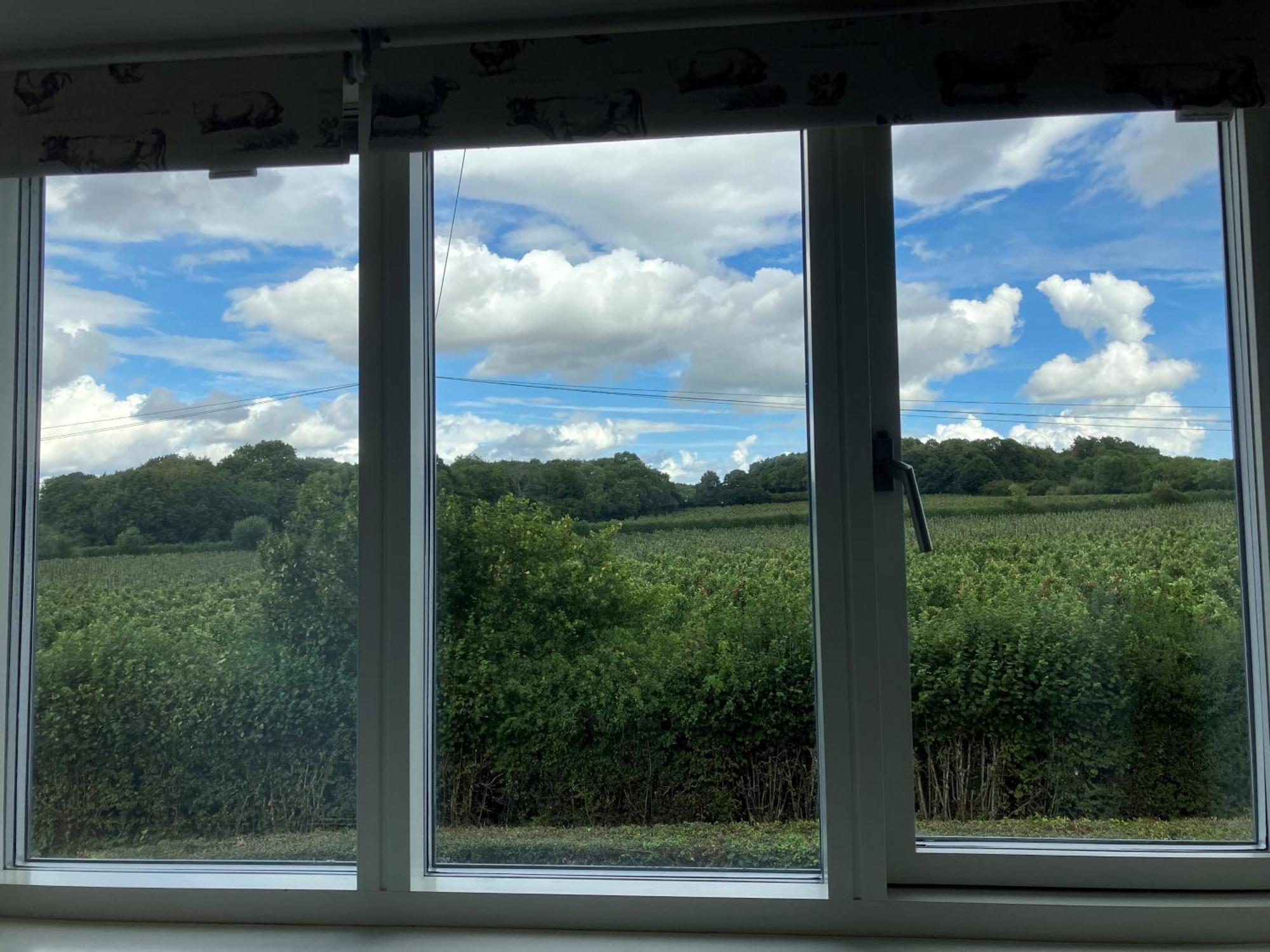 Withy Farm Bed & Breakfast Canterbury Bagian luar foto